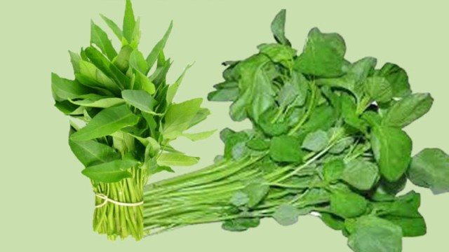 কলমি ও ডাটা শাকের উপকারিতা