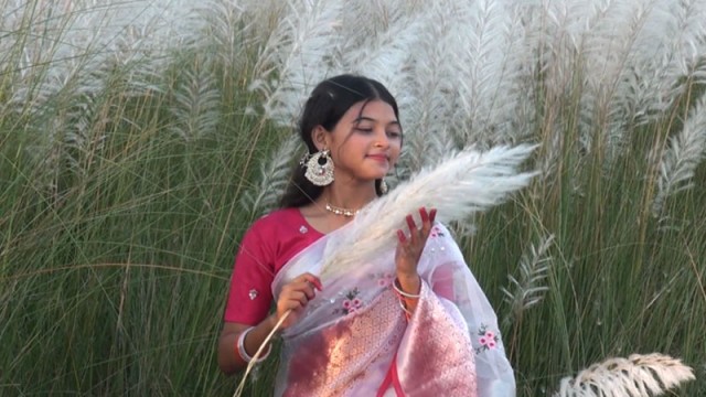 চরের চাষিদের মুখে হাসি ফোটাচ্ছে বিনা খরচের ‘কাশবন’